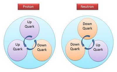 اجزای بنیادی پروتون و نوترون